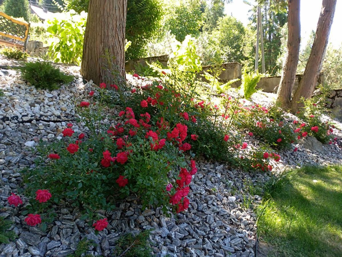 Dom Wczasowy Sokolica Krynica-Zdrój Exterior foto